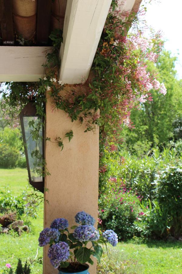 Mas Les Romarins, 10 Min D'Uzes, Piscine Et Grand Jardin Clos, Jeux, Nid De Repos Et Base Pour Activites Dans Le Gard (Adults Only) Exteriér fotografie