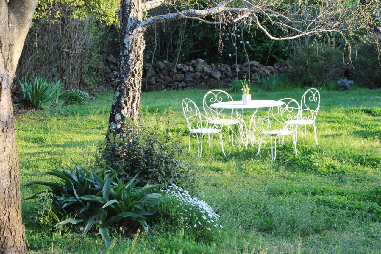 Mas Les Romarins, 10 Min D'Uzes, Piscine Et Grand Jardin Clos, Jeux, Nid De Repos Et Base Pour Activites Dans Le Gard (Adults Only) Exteriér fotografie