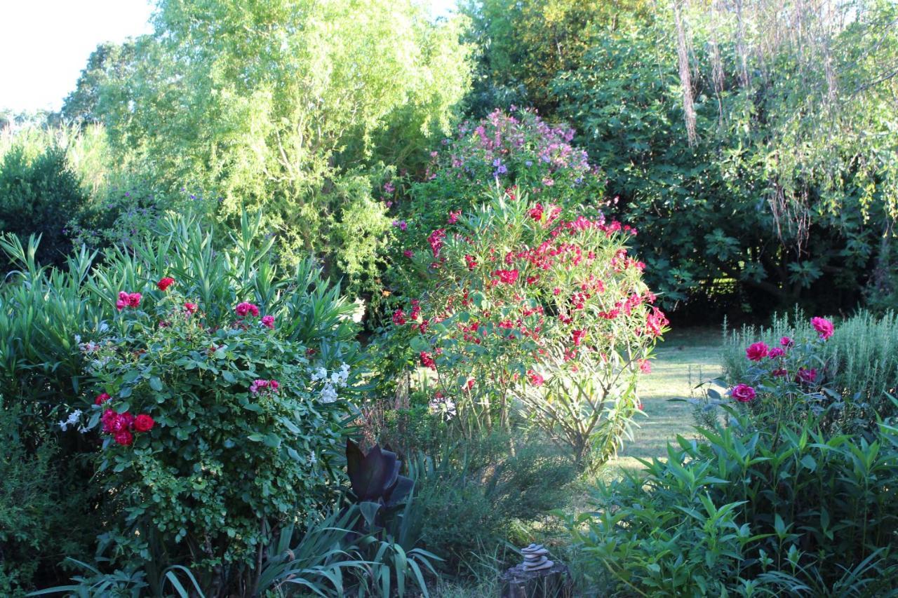 Mas Les Romarins, 10 Min D'Uzes, Piscine Et Grand Jardin Clos, Jeux, Nid De Repos Et Base Pour Activites Dans Le Gard (Adults Only) Exteriér fotografie