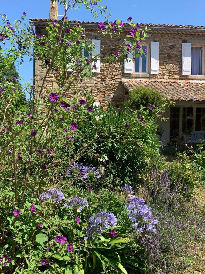 Mas Les Romarins, 10 Min D'Uzes, Piscine Et Grand Jardin Clos, Jeux, Nid De Repos Et Base Pour Activites Dans Le Gard (Adults Only) Exteriér fotografie