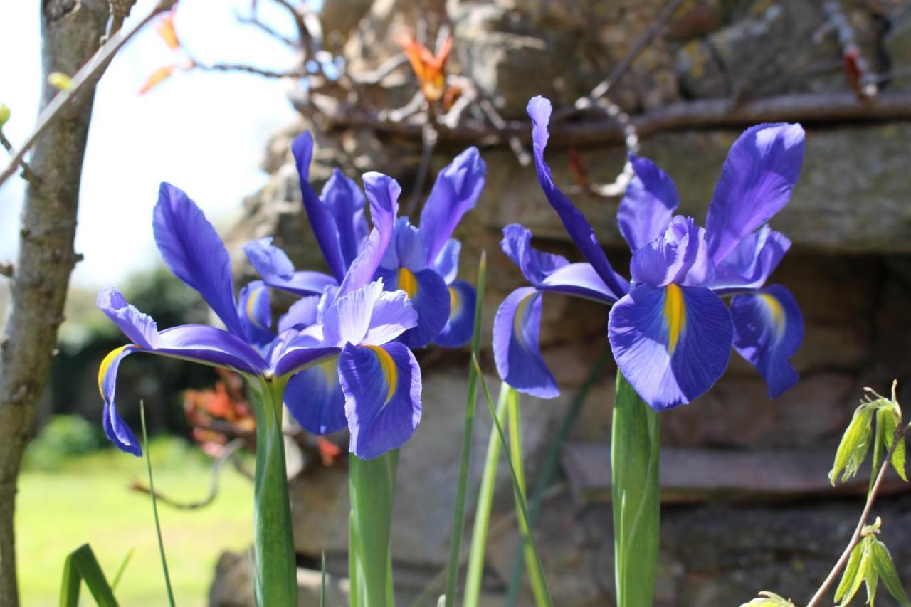 Mas Les Romarins, 10 Min D'Uzes, Piscine Et Grand Jardin Clos, Jeux, Nid De Repos Et Base Pour Activites Dans Le Gard (Adults Only) Exteriér fotografie